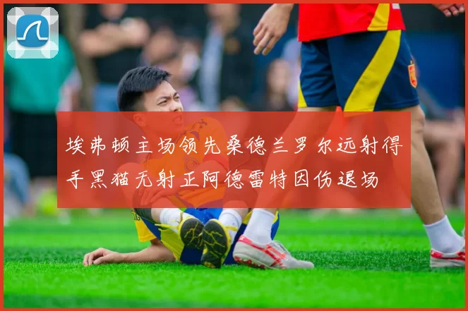 埃弗顿主场领先桑德兰罗尔远射得手黑猫无射正阿德雷特因伤退场