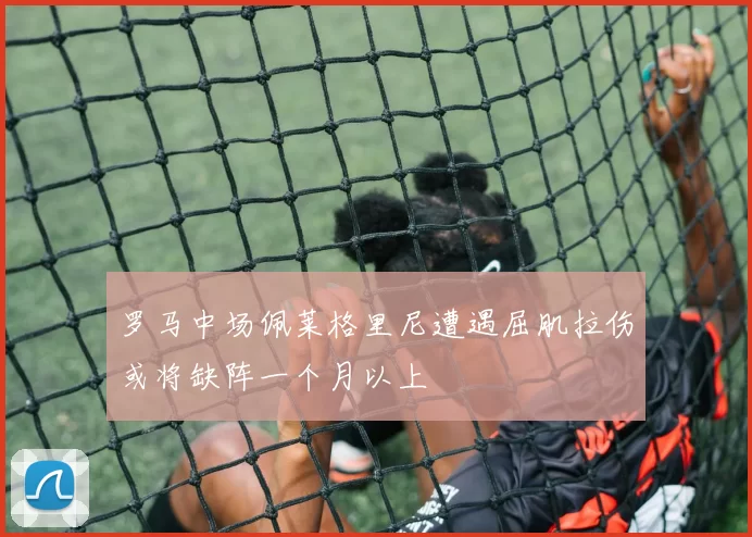 罗马中场佩莱格里尼遭遇屈肌拉伤或将缺阵一个月以上
