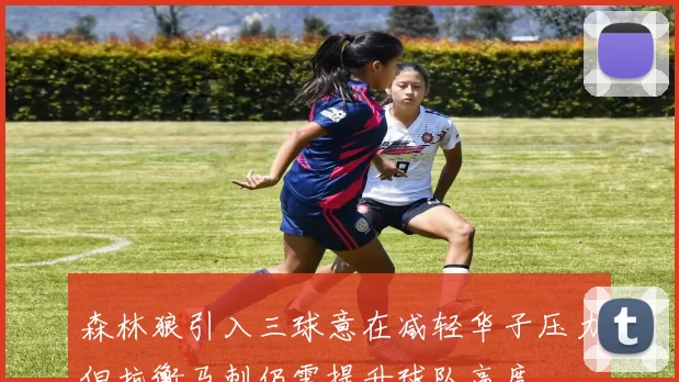 森林狼引入三球意在减轻华子压力但抗衡马刺仍需提升球队高度