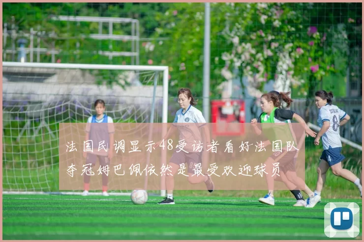 法国民调显示48受访者看好法国队夺冠姆巴佩依然是最受欢迎球员